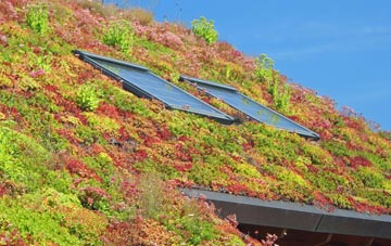 Bilbster Mains living roof systems