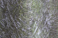 Bilbster Mains fibreglass roof work